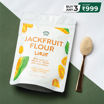 Jack Fruit Powder